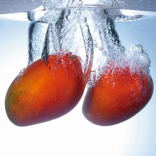 애플망고 3kg(6~7과)