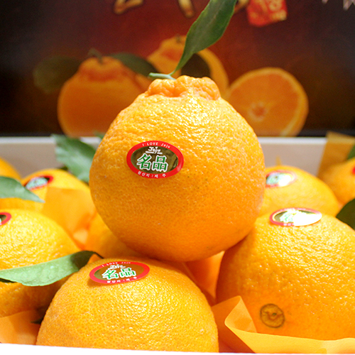 명품한라봉 5kg(16~18)