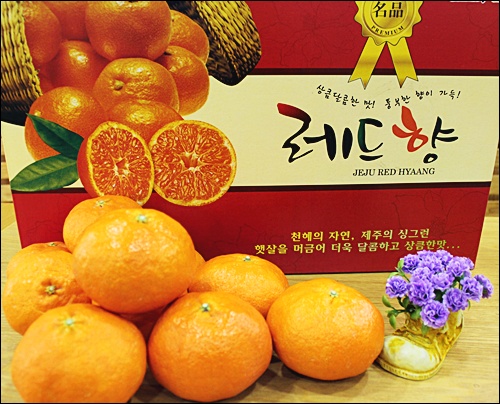 레드향선물용3kg